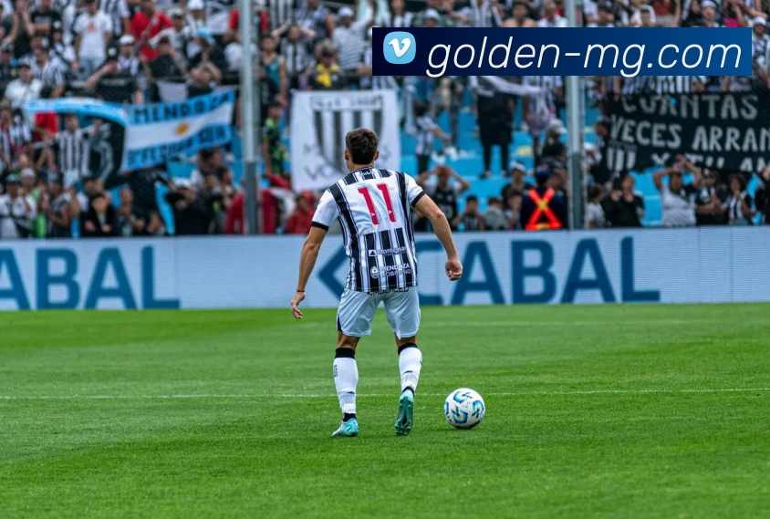 满贯体育平台生态图